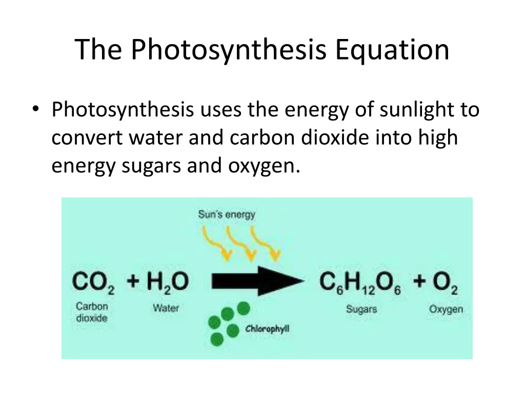 the photosynthesis equation