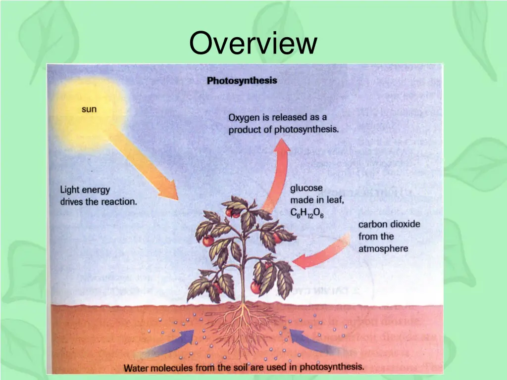 overview 1