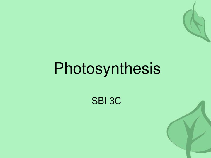 photosynthesis