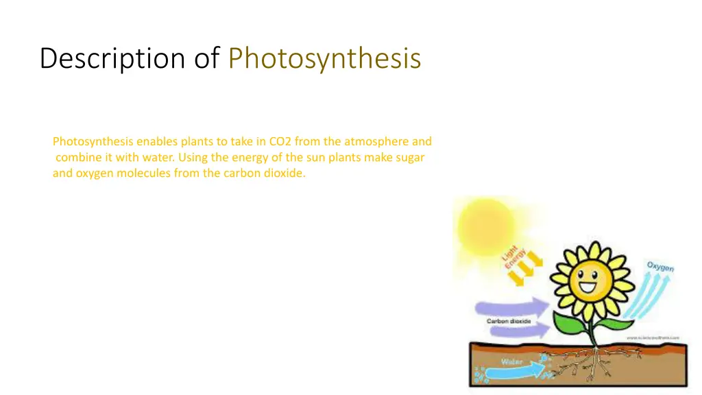 description of photosynthesis