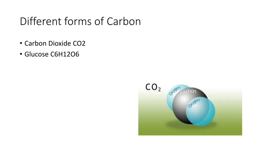 different forms of carbon