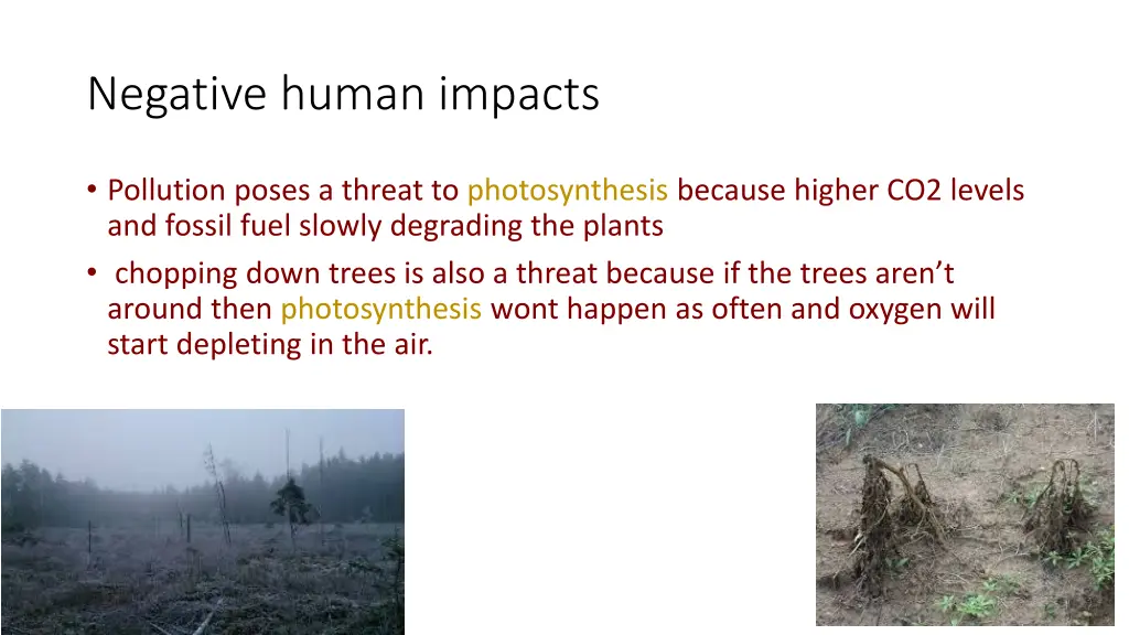 negative human impacts