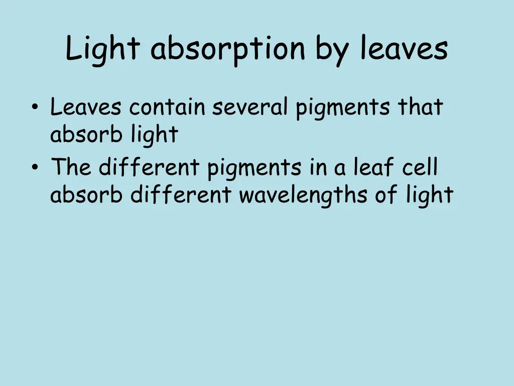 light absorption by leaves