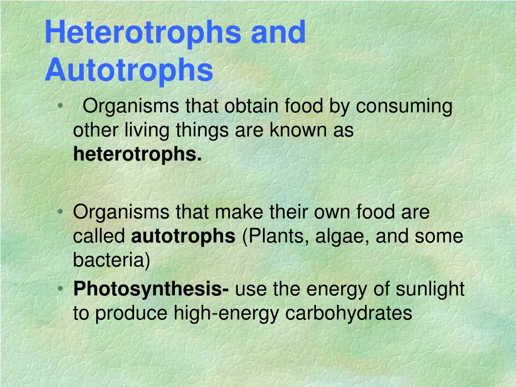 heterotrophs and autotrophs organisms that obtain