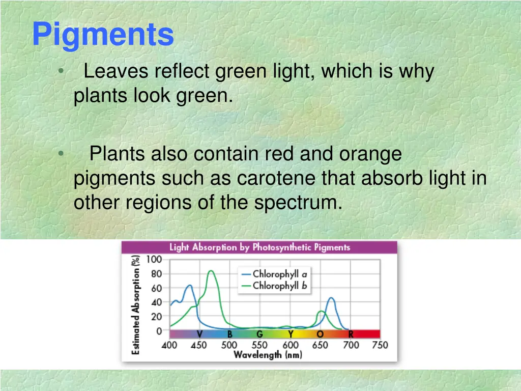 pigments leaves reflect green light which