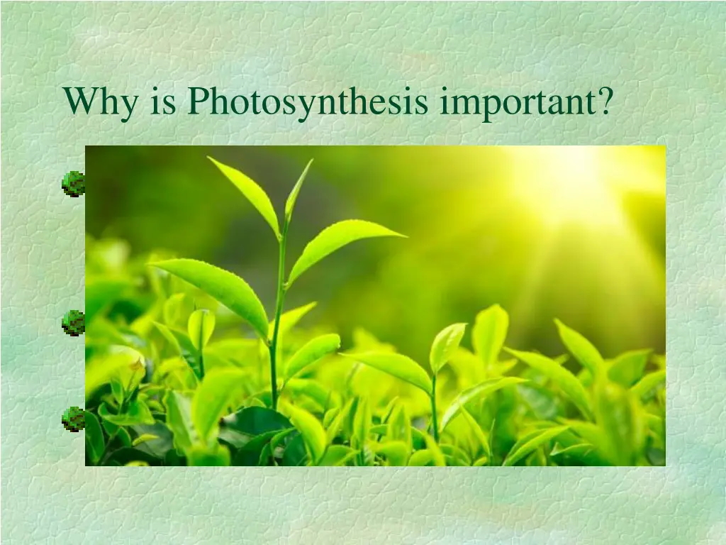 why is photosynthesis important