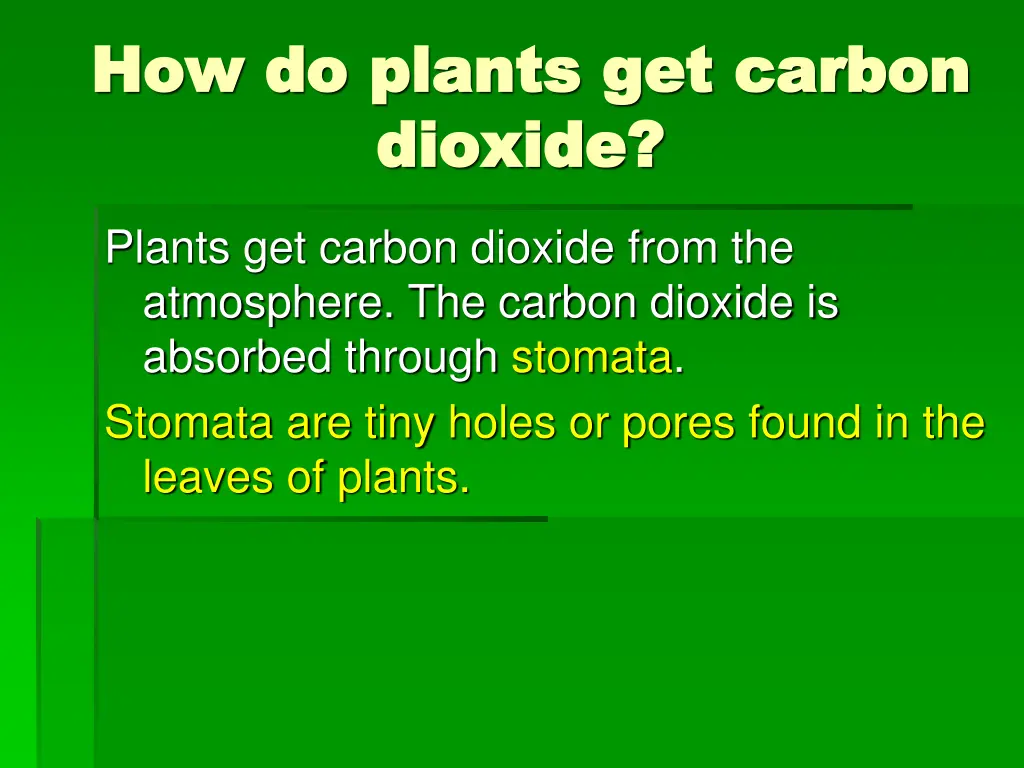 how do plants get carbon how do plants get carbon