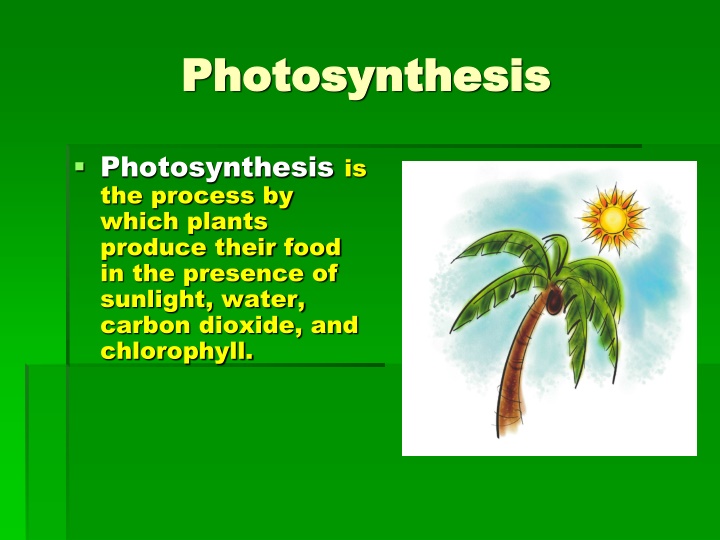 photosynthesis photosynthesis