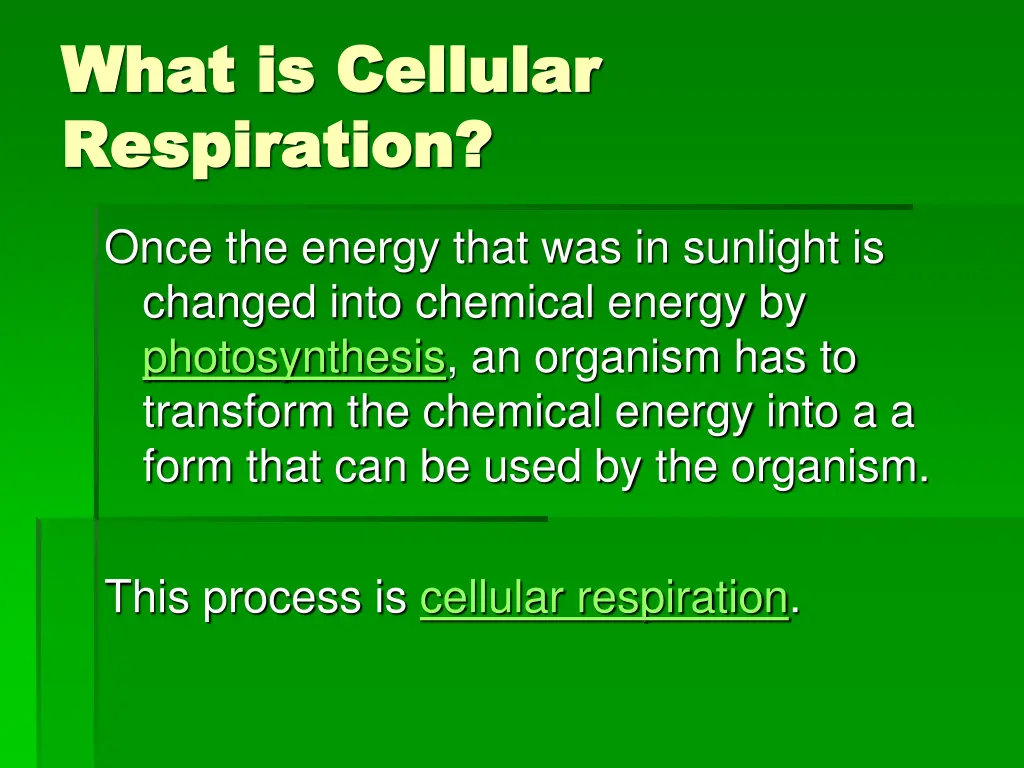 what is cellular what is cellular respiration 1