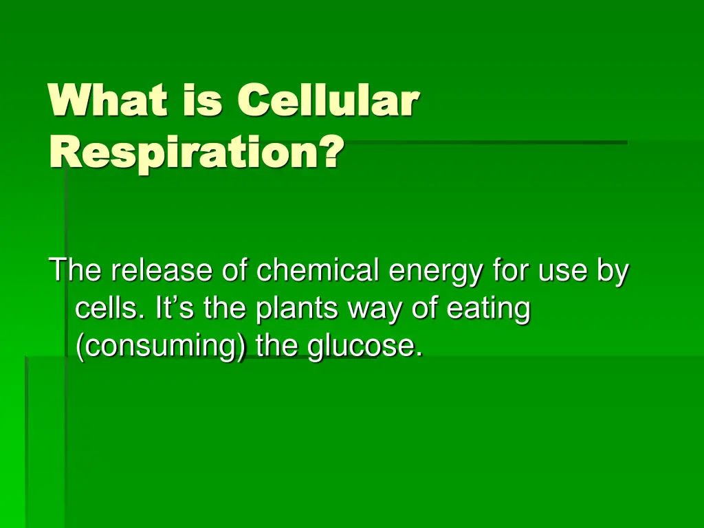 what is cellular what is cellular respiration