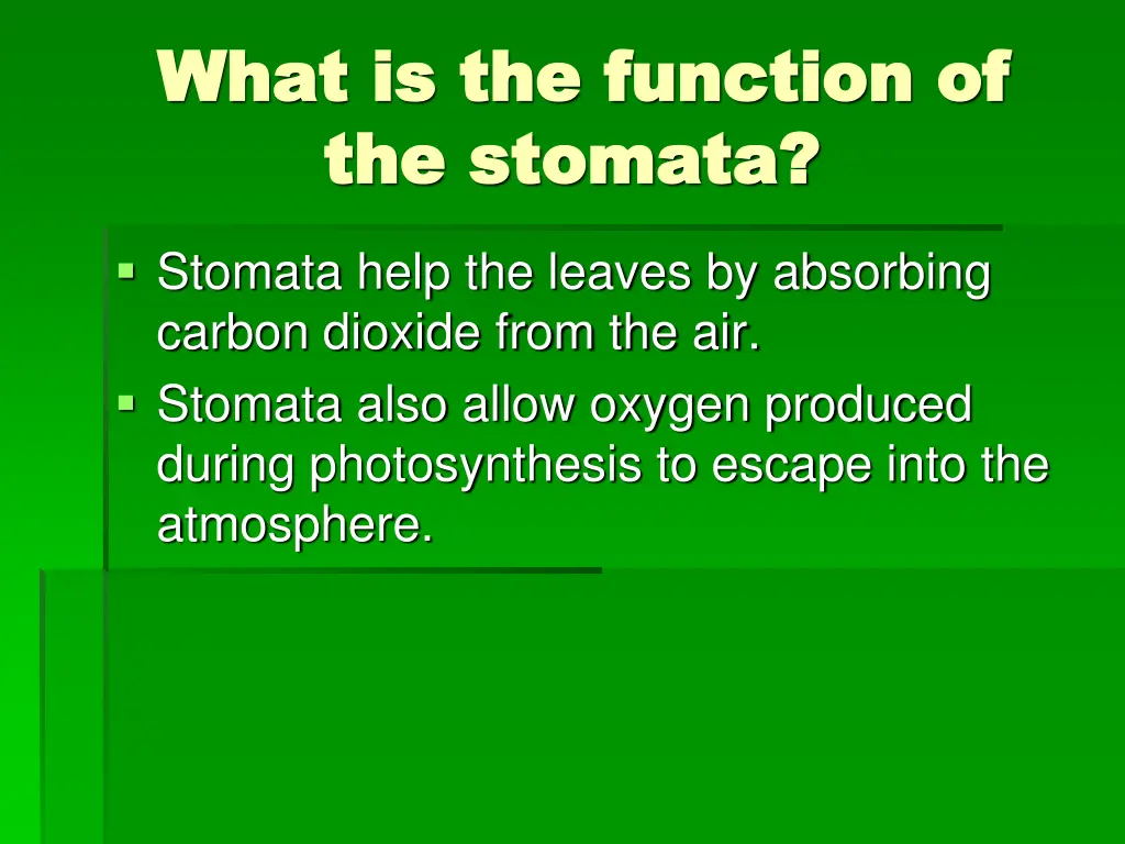 what is the function of what is the function