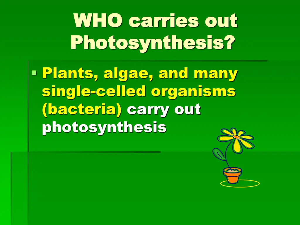 who carries out who carries out photosynthesis