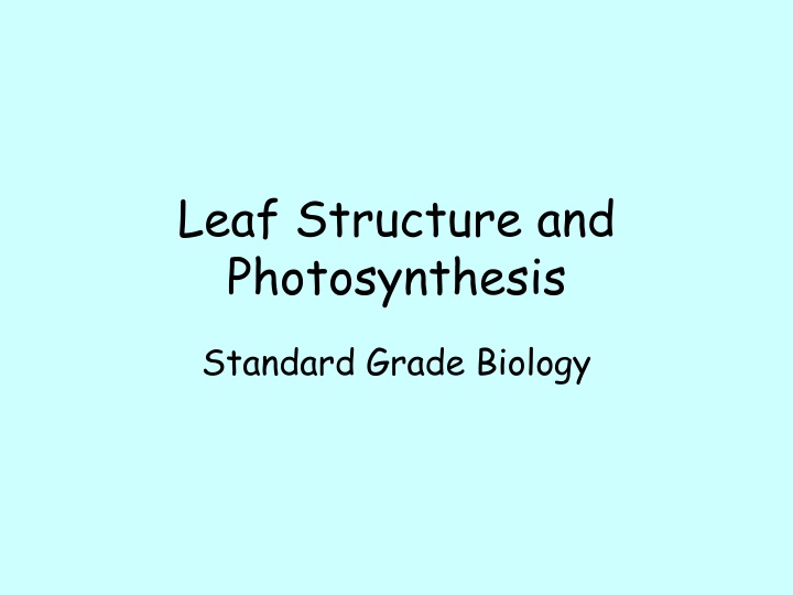 leaf structure and photosynthesis