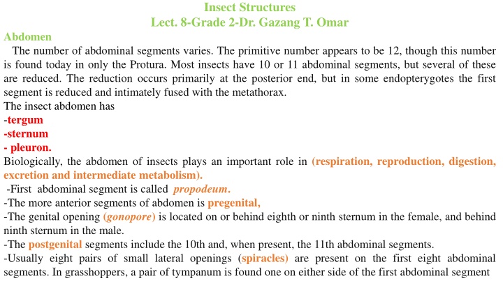 insect structures