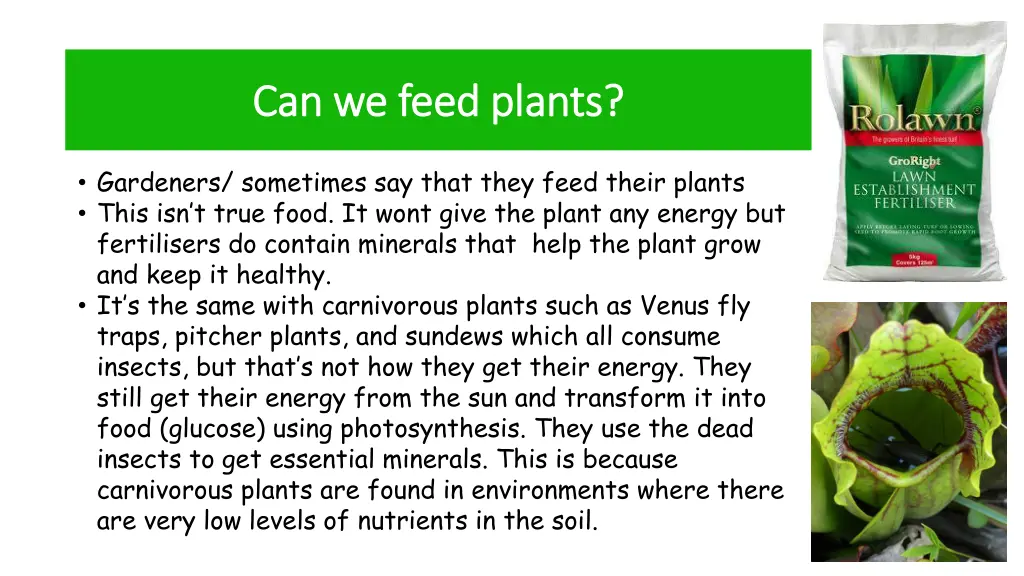 can we feed plants can we feed plants