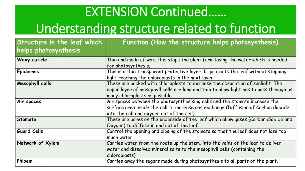 extension continued extension continued 1