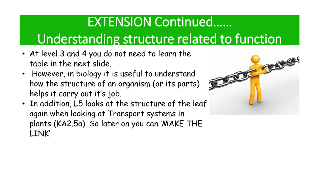 extension continued extension continued