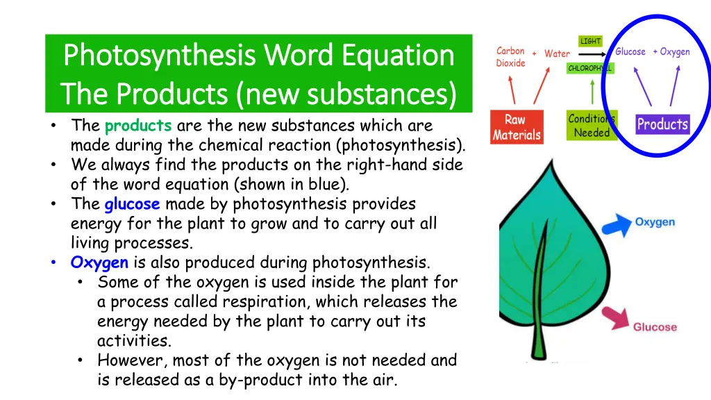 photosynthesis word equation photosynthesis word 1