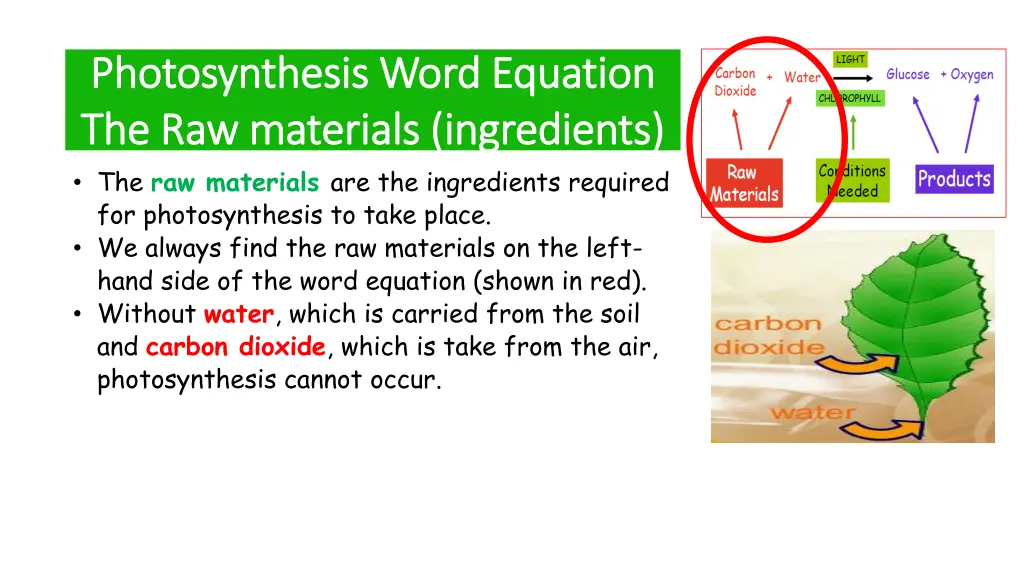 photosynthesis word equation photosynthesis word