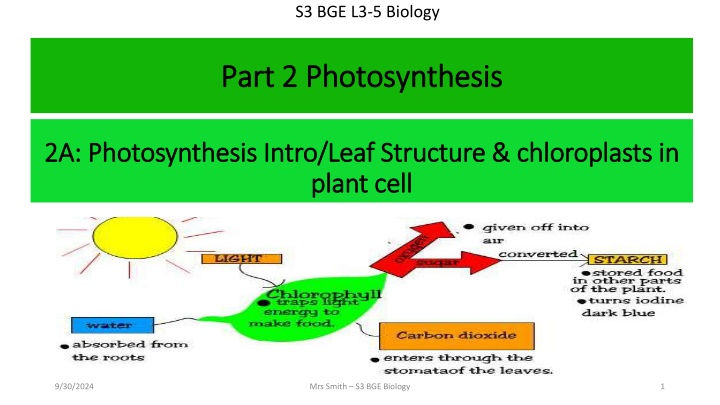 s3 bge l3 5 biology