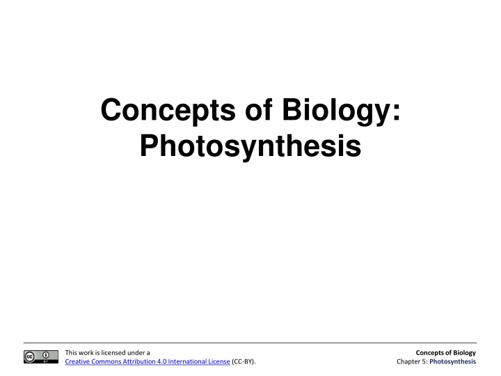 concepts of biology photosynthesis