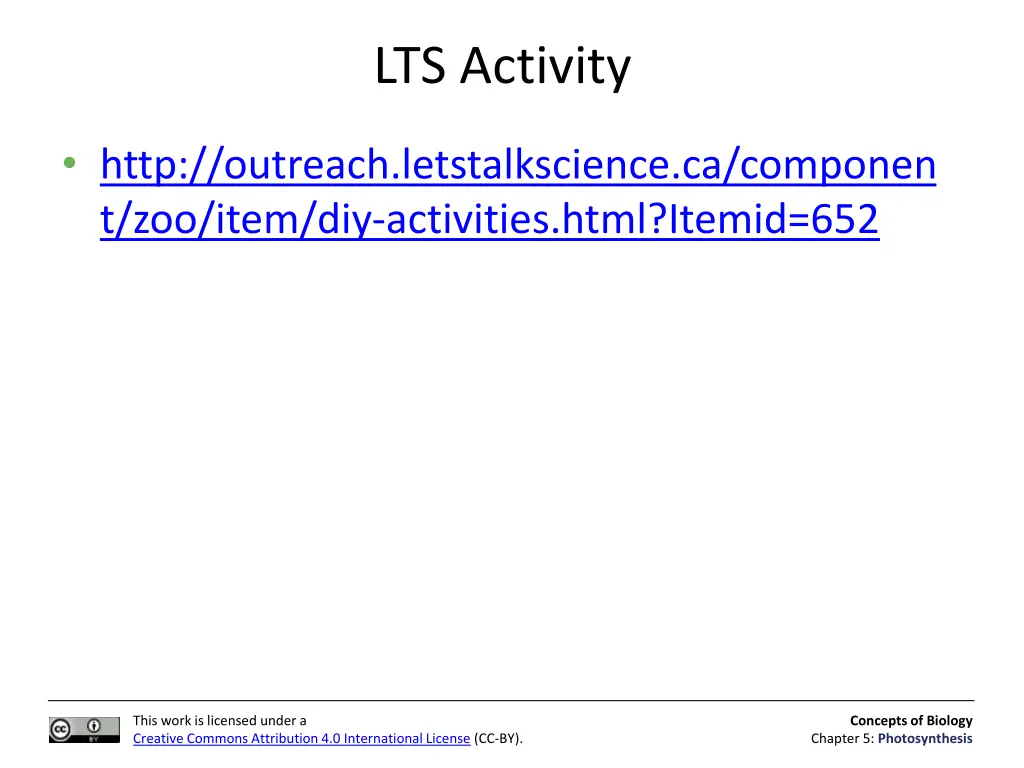 lts activity