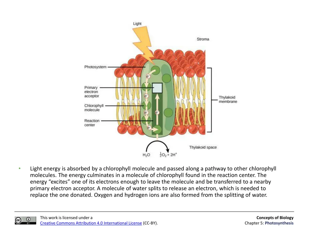 slide15