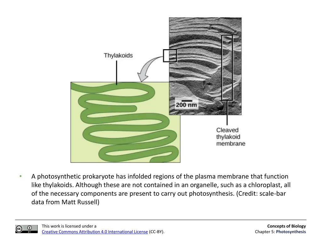 slide21