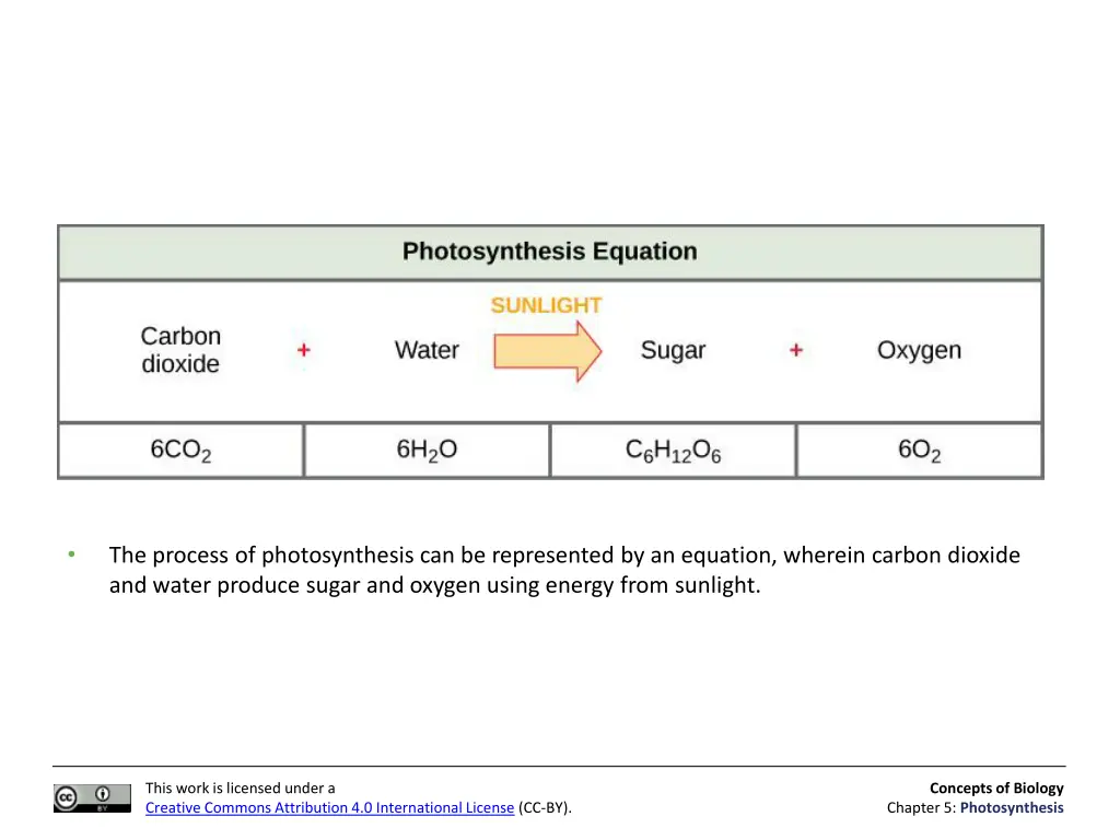 slide8