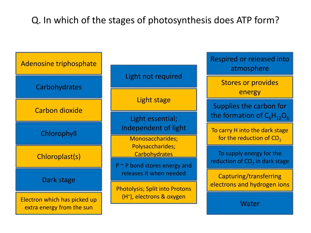 q in which of the stages of photosynthesis does