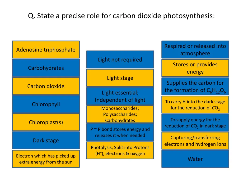 q state a precise role for carbon dioxide