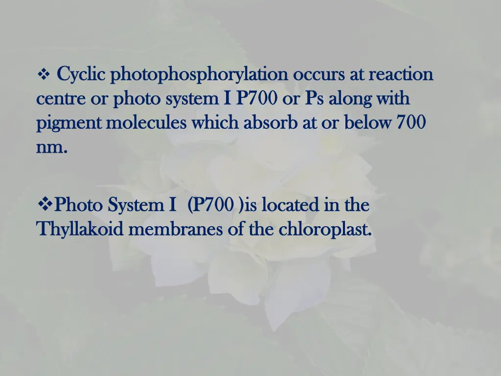 cyclic photophosphorylation occurs at reaction