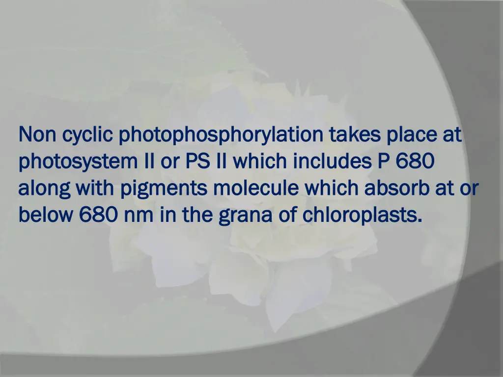 non cyclic photophosphorylation takes place