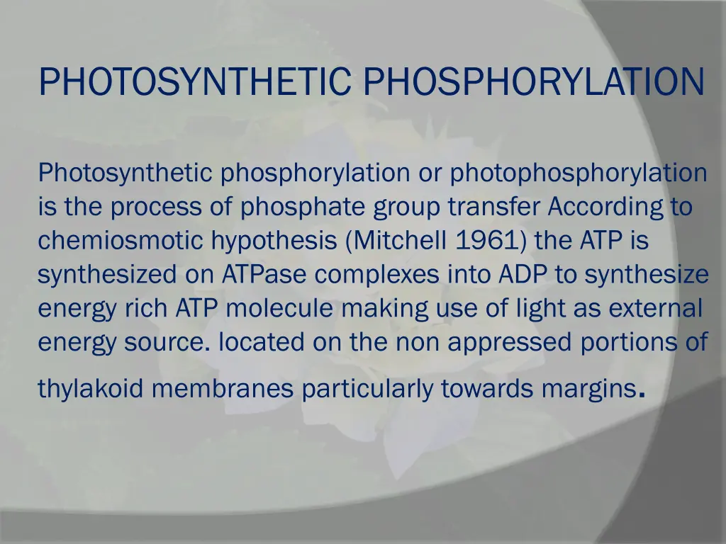 photosynthetic phosphorylation