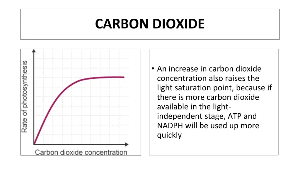 carbon dioxide 1