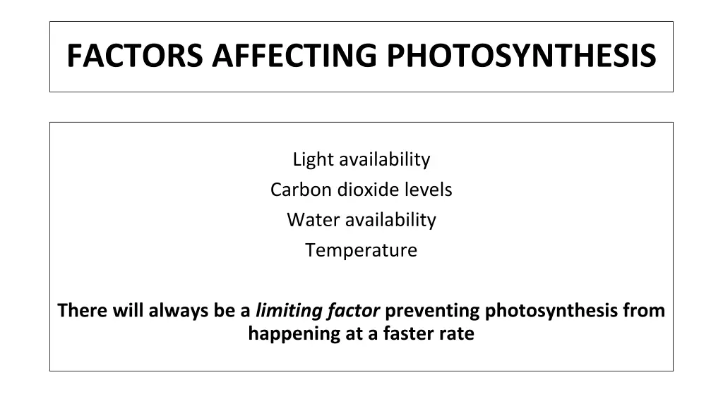 factors affecting photosynthesis