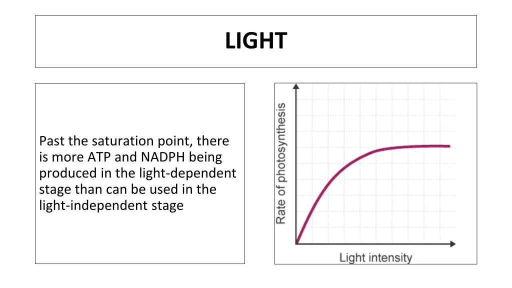 light 1