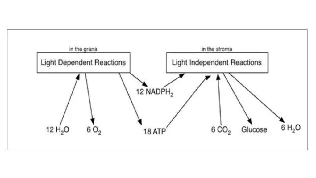 slide3