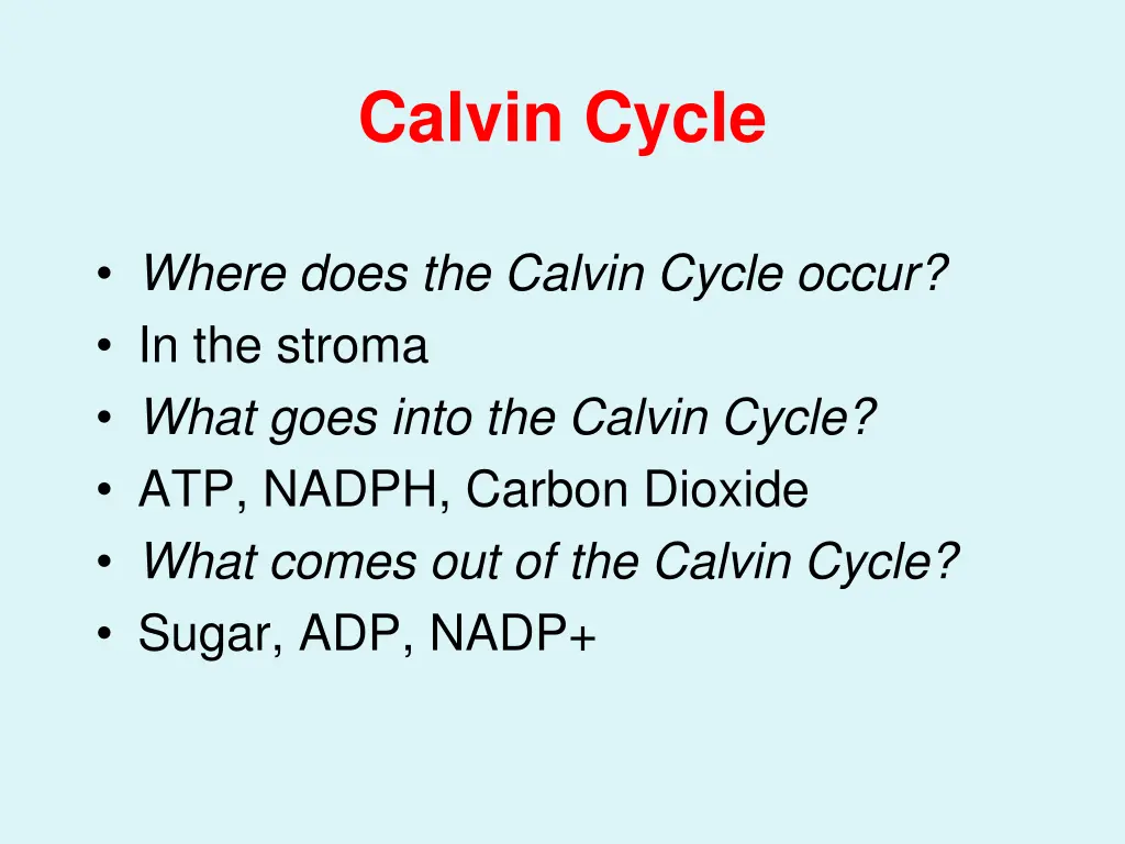 calvin cycle