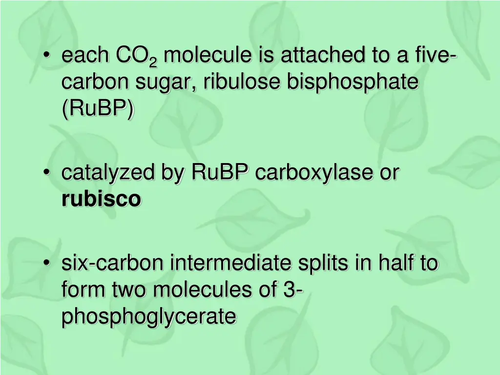 each co 2 molecule is attached to a five carbon