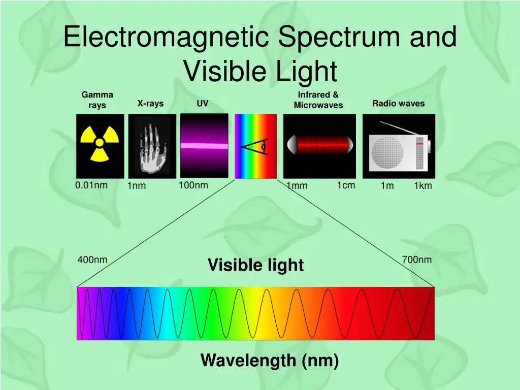 electromagnetic spectrum and visible light gamma