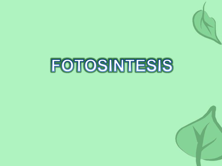 fotosintesis