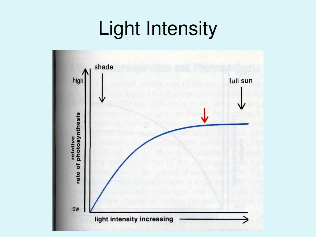 light intensity