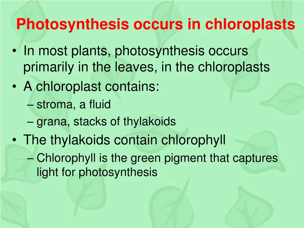 photosynthesis occurs in chloroplasts