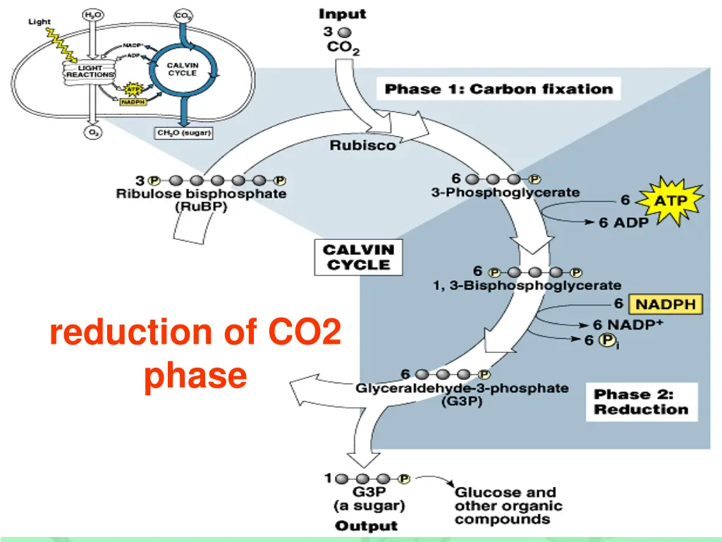 reduction of co2 phase