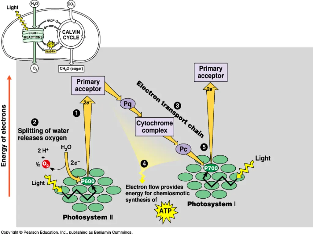 slide23