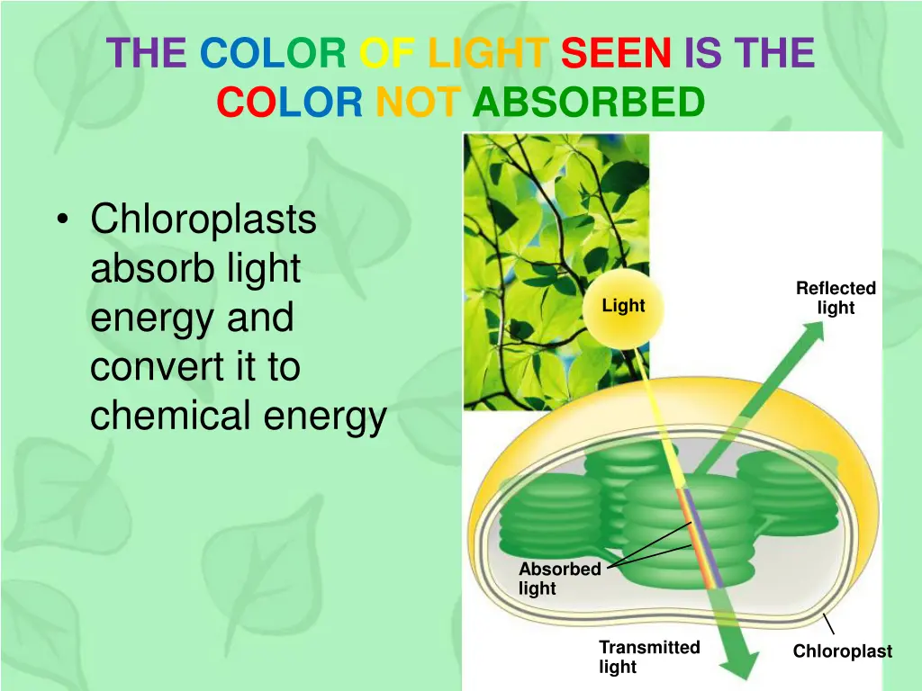 the color of light seen is the color not absorbed