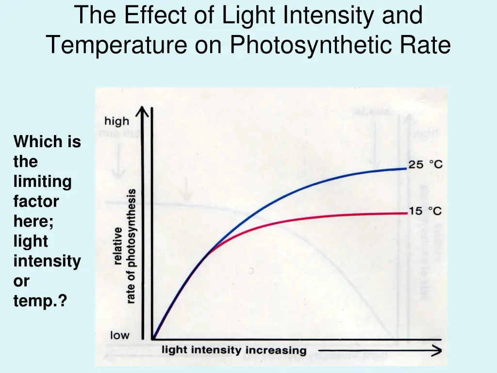 the effect of light intensity and temperature