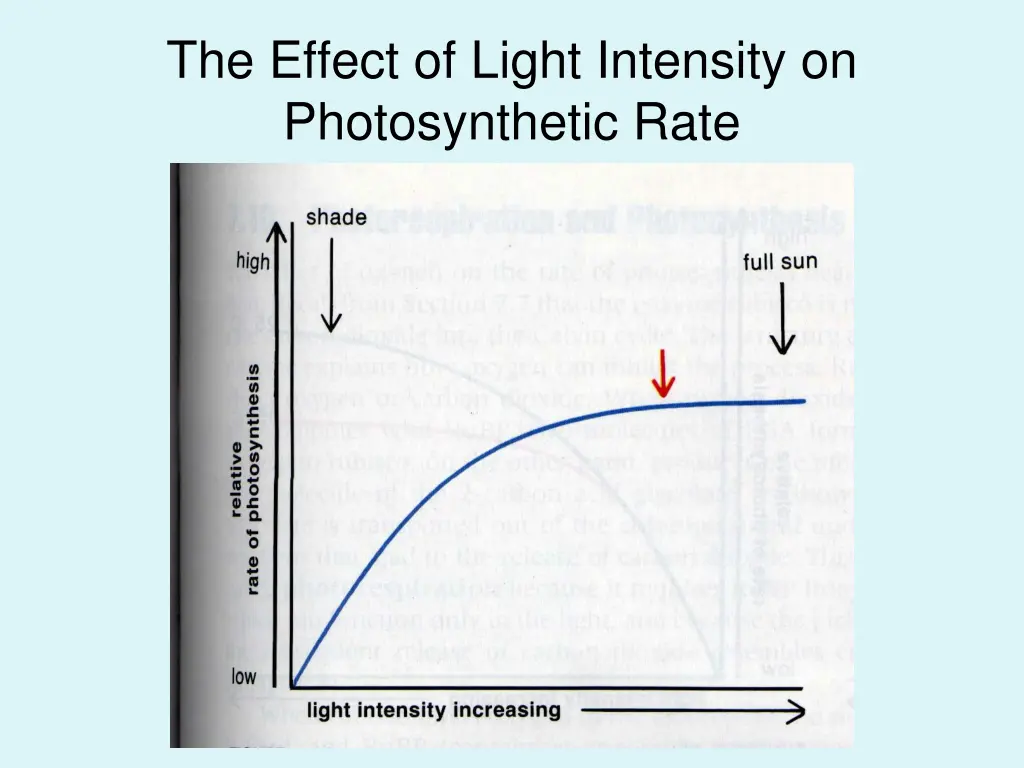 the effect of light intensity on photosynthetic