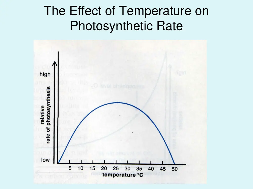 the effect of temperature on photosynthetic rate